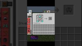 MINECRAFT ELYTRA MOMENT  akgamerzp8i 2 [upl. by Maribeth251]