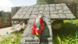 21 はじめてのARK  ASA 初心者 【PS5】はじめてのキブル作りに挑戦します！！！！ [upl. by Ethbinium]