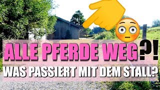 Warum sind alle weg vom Stall I PFERDE STALL steht leer I QampA Video [upl. by Gardell]