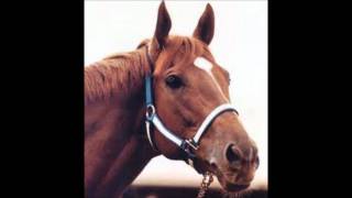 My Tribute to Secretariat the famous racehorse [upl. by Jacy]