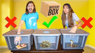 DONT CHOOSE THE WRONG MYSTERY BOX [upl. by Eeral]