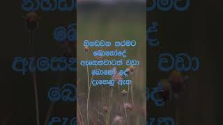 නිවන් දකින්න කාලය පැමිණ ඇත nibbana travel dhammadesana [upl. by Sholeen107]