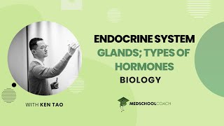 Glands amp Types of Hormones [upl. by Oznola]