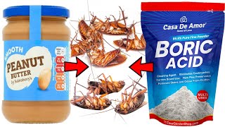 How to Kill Cockroaches with Peanut butter amp Boric Acid [upl. by Anaira]