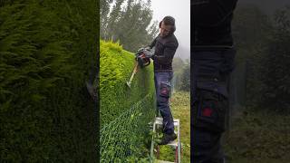 How Effortless Man Cutting Grass Clever Trick shorts [upl. by Zeni662]