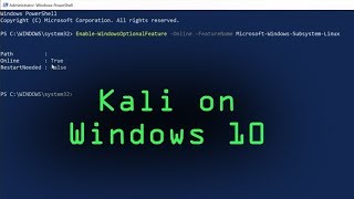 Install Kali Linux on Windows 10 from the Microsoft Store Windows Subsystem for Linux Tutorial [upl. by Josy541]