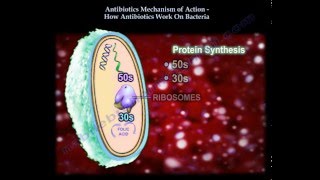 Antibiotics Mechanism Of Action Part 1  Everything You Need To Know  Dr Nabil Ebraheim [upl. by Leacim580]