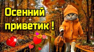 ☕Доброго ноябрьского утра 🍁благословенного дня🌞Красивое музыкальное пожелание🍁отличной недели [upl. by Fidela]