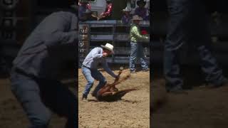 calf roping and tying rodeo cowboy shorts [upl. by Aletta]