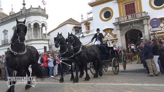 33 Sevilla Capital Mundial del Enganche 2017 Caballos y Carruajes [upl. by Luebke]