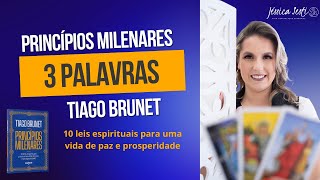 Princípios Milenares  3 PALAVRAS  Tiago Brunet [upl. by Mat]