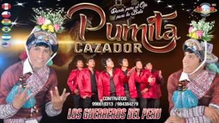 PUMITA CAZADOR ▷ cholita Primicia 2016 [upl. by Millur253]