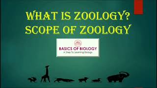 What is Zoology  Scope of Zoology  Importance and branches of Zoology  Basics Of Biology [upl. by Bakeman242]