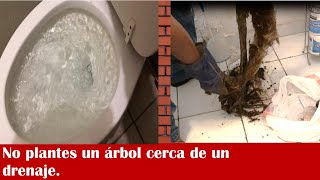 ► Como DESTAPAR un BAÑO muy TAPADO sin DESTAPACAÑOS 5 TRUCOS [upl. by Kenay478]