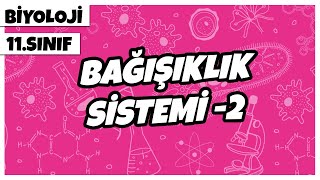 11 Sınıf Biyoloji  Bağışıklık Sistemi 2  2022 [upl. by Etnahsal192]