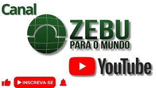 261124  GARANTIA de Alimento para rebanhos BRIQFENO parcerias internacionais  12h AO VIVO [upl. by Cyndie]