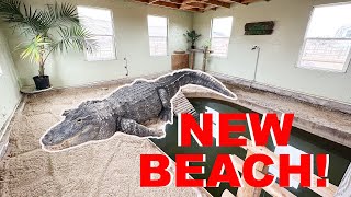 Can I Make My Alligators Beach BIGGER [upl. by Steele]