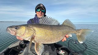 Giant Prespawn Walleyes in Tough Conditions [upl. by Secundas896]