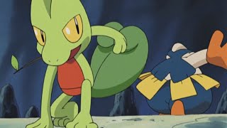 Treecko vs Hariyama  Pokémon Advanced  Official Clip [upl. by Eilime]