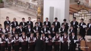 Knabenchor capella vocalis quotJauchzet dem Herrnquot Mendelssohn Abteikirche Neresheim 2016 [upl. by Dorelle]