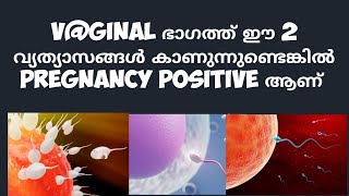 2 Early Pregnancy Symptoms Deechus world Malayalam [upl. by Ileek]