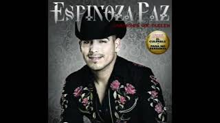 ESPINOZA PAZCANCIONES QUE DUELEN [upl. by Lind138]