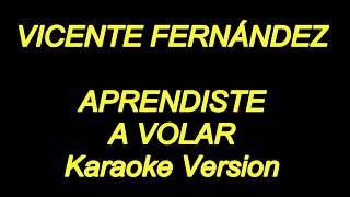 Vicente Fernandez  Aprendiste A Volar Karaoke Lyrics NUEVO [upl. by Seppala983]