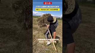 For people in Xinjiang it’s time to prepare winter fodder for livestock xinjiang china [upl. by Rapsag]