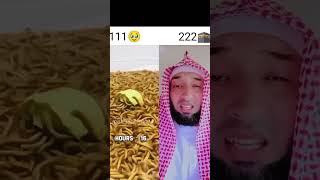 Mealworms Vs Pumpkin mealworms pumpkin quran fypシ゚viral fyp [upl. by Wetzel839]