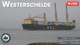 Live shipspotting on the Westerschelde [upl. by Navanod292]