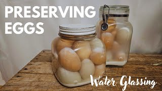 How to preserve fresh eggs for longterm storage without refridgeration [upl. by Ahsilaf]