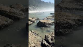 Oregon shorts getoutside oregoncoast asmrsounds oceanwaves goforawalk wavesounds fyp pnw [upl. by Johnsten]