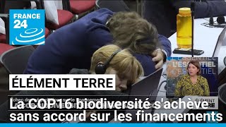 Léchec cuisant de la COP16 biodiversité consacre une fracture nordsud • FRANCE 24 [upl. by Jessi484]