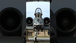 Why the A10 is a Flying TANK [upl. by Ribaj567]