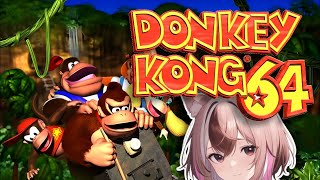 HE HAS NO STYLE HE HAS NO GRACE【Donkey Kong 64】 [upl. by Can]