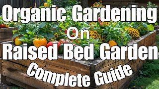 Organic Gardening in Raised Bed A Complete Guide to Growing ChemicalFree Vegetables [upl. by Japeth672]