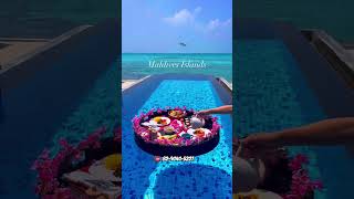 Maldives Honeymoon Package ☎️8290405227  Maldives tour package  Maldives low price tour [upl. by Namurt]