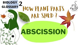 ABSCISSION  PLANT PHYSIOLOGY [upl. by Cerelly]