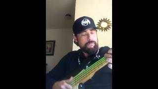 David pastorius bass improv [upl. by Attelrac]