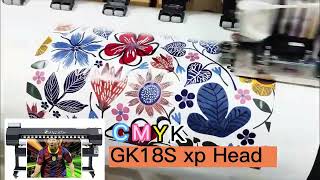 Clothes Sublimation Printer By Graphking Printer Manufacturer tshirt sublimation plotter [upl. by Karisa]