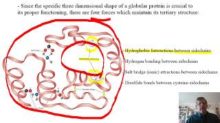 Biochemistry Lecture 7 [upl. by Hilton822]