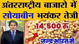 26 अक्टूबर 2024 aaj ka soybean bhav soyabean ka bhav soya ka rate soybean mandi bhavsoya plant [upl. by Sitof]