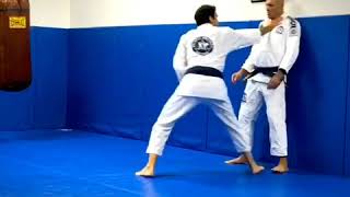 RG 360 Gracie JiuJitsu Self Defense Demo [upl. by Annatnom]