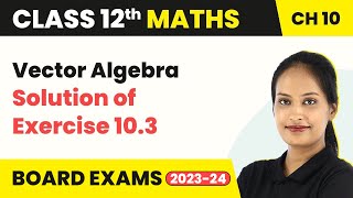 Vector Algebra  Solution of Exercise 103  Class 12 Maths Chapter 10 CBSEIITJEE [upl. by Oz]