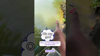 Cubpi teaches everyone how to retrieve objects that fall into the water Hilarious videotoys funny [upl. by Eema]