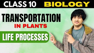 Transportation in Plants Class 10 Life Processes  ncert covered in detail  board exams 202425 [upl. by Niriam]