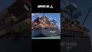 O my god MSC Contenar Vissel Roling piching ship 🚢🌊 trending travel reels trendingreels shorts [upl. by Ennaeerb]