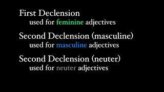 First and Second Declension Adjectives [upl. by Demb]