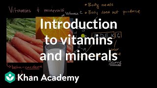 Introduction to vitamins and minerals  Biology foundations  High school biology  Khan Academy [upl. by Sunda]