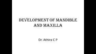 Development of Mandible and Maxilla [upl. by Lerak]